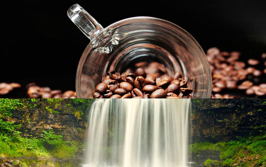 Organic Mountain Water Process Decaf