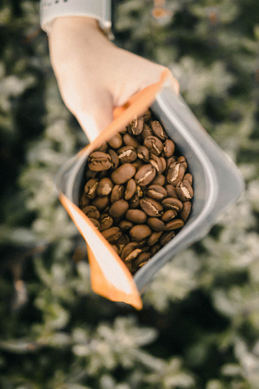 Organic Signature House Blend