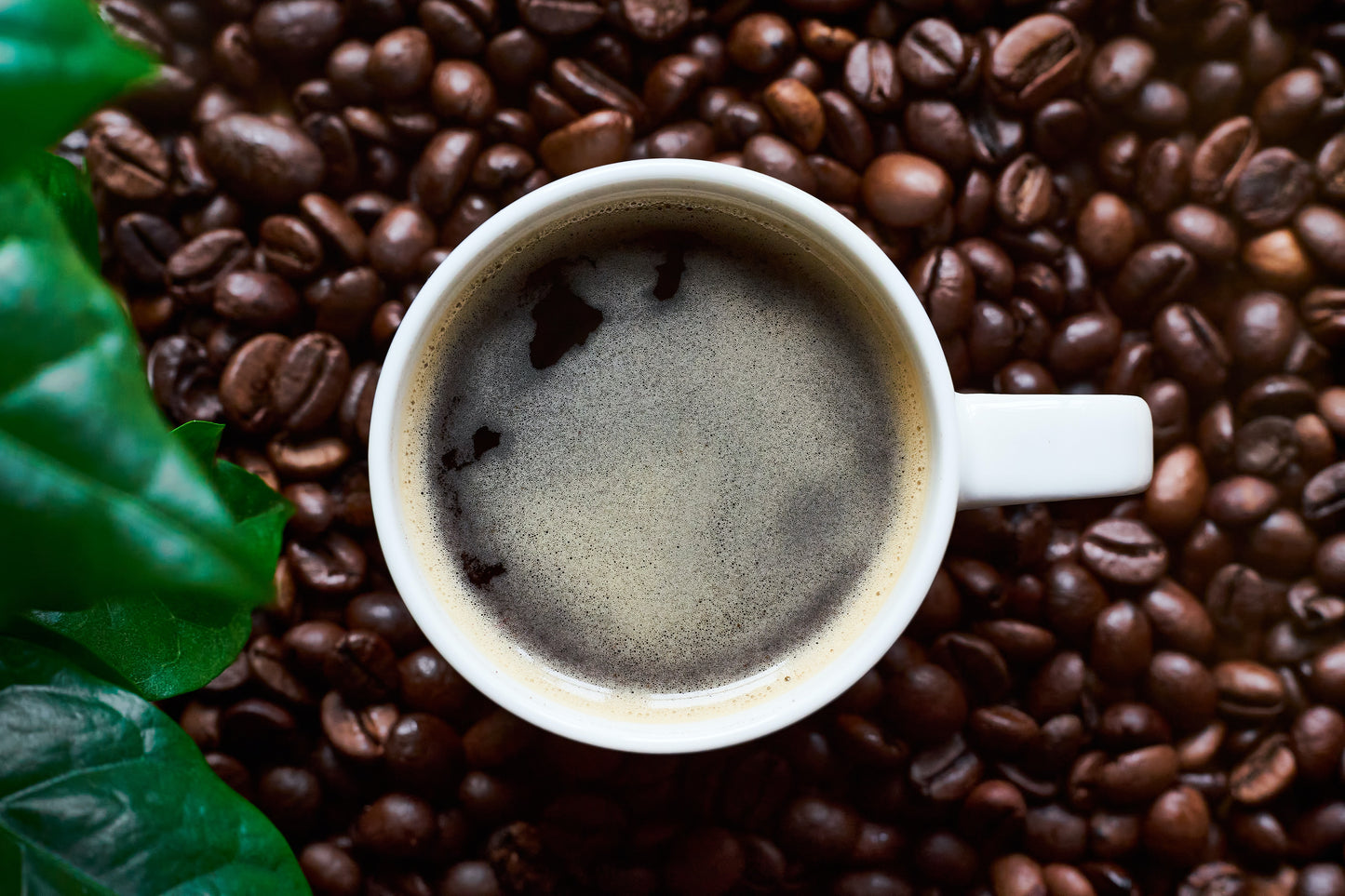 Organic Signature House Blend